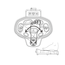 Load image into Gallery viewer, AQUOS Black Haswing Cayman trolling motor accessories 2.4G Version Wireless Foot Control For 50700/50718D/50706 Electric Trolling Motor for Bass fishing on Bass boat, Jon Boat, Pontoon Boat, Inflatable Boat, Not for GPS Motor