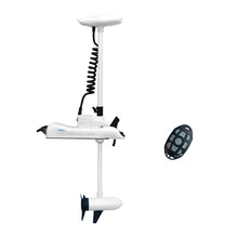 Load image into Gallery viewer, AQUOS  Black Haswing CaymanB 24V 80LBS 48 inch Shaft Electric Bow Mount Trolling Motor with Remote Control